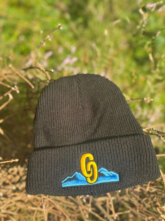 Dark knit beanie with embroidered logo on a natural background Front view